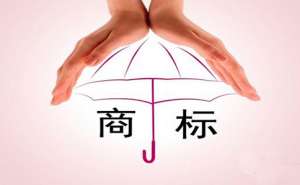 芜湖进行商标注册需要注重哪些问题