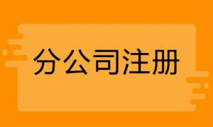 芜湖注册分公司需要什么手续有哪些流程